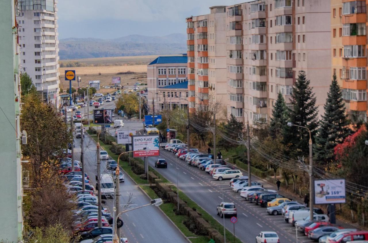 Butterfly Apartment Sibiu Buitenkant foto